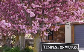 Tempest On Wanaka